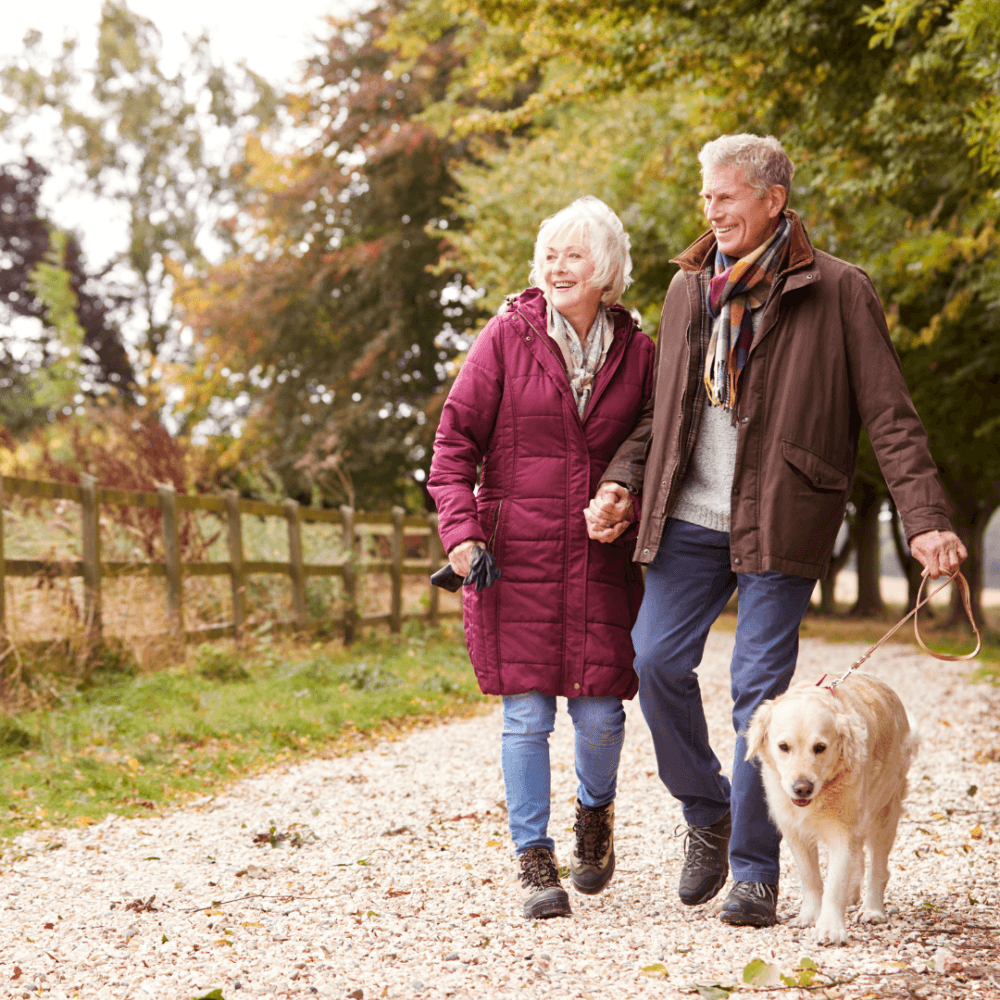 Elderly couple walking hand in hand with a golden retriever dog on a nature path surrounded by trees. - Home Instead