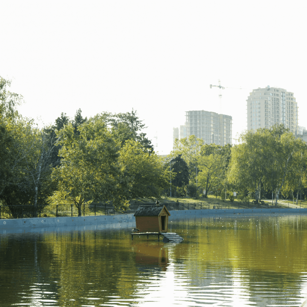 A small wooden hut floating on a pond in a park, surrounded by trees and buildings in the background. - Home Instead