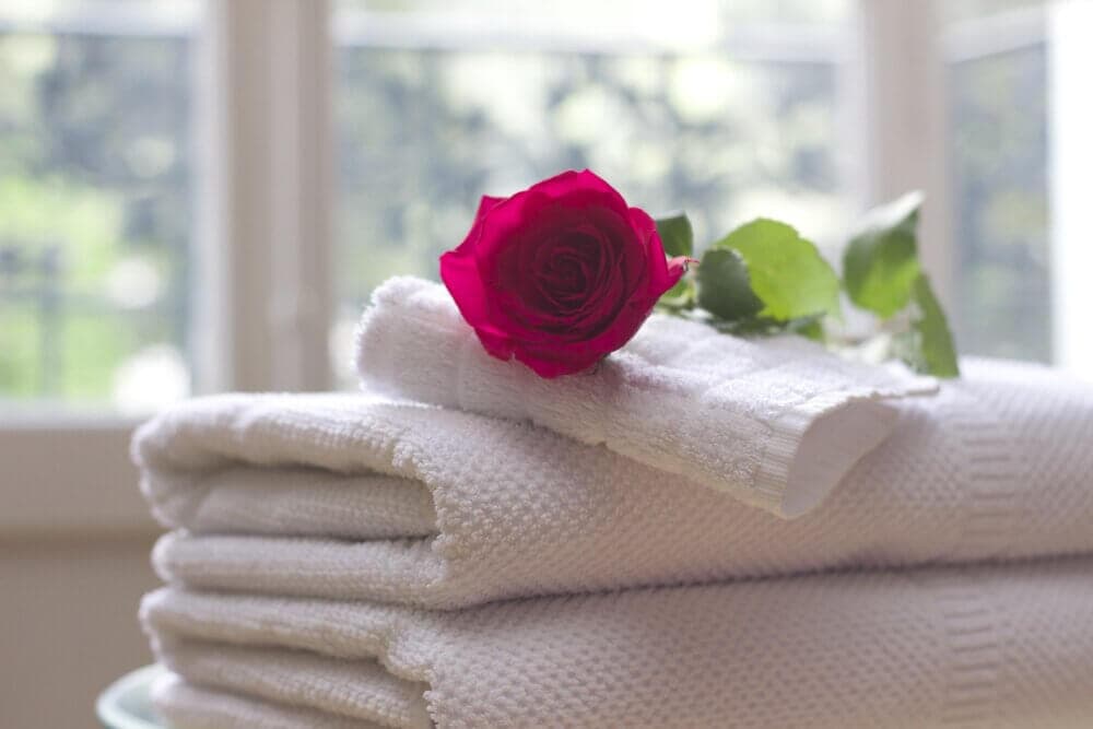 A red rose resting on a neatly folded stack of white towels, with a blurred window background. - Home Instead