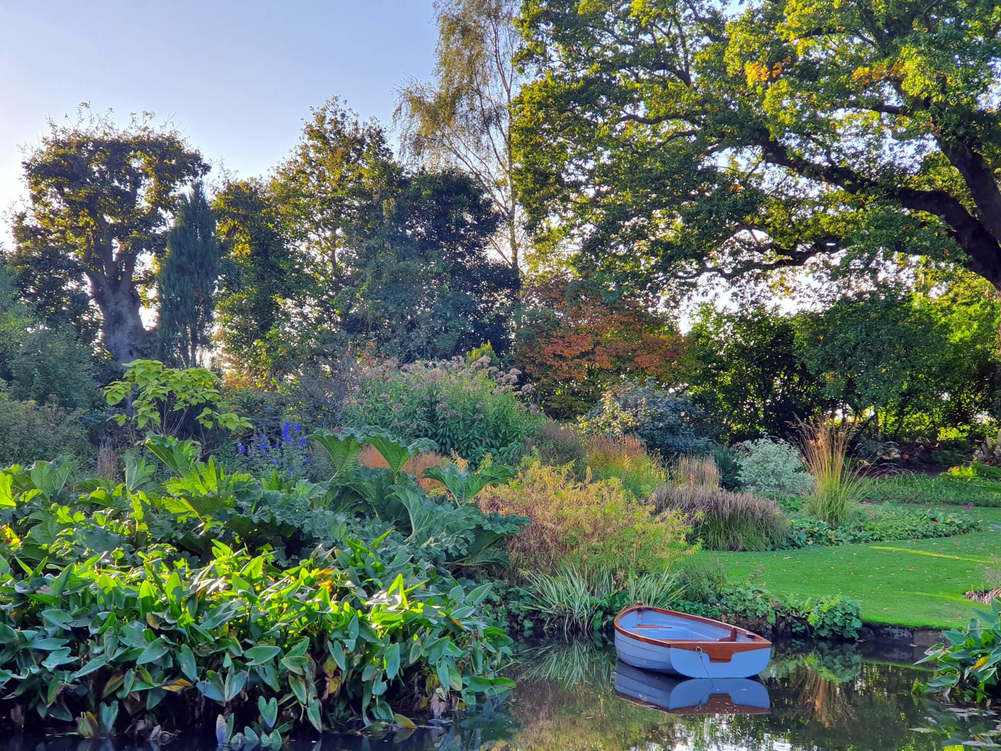 A small boat floats on a pond surrounded by dense greenery and trees under a clear sky. - Home Instead