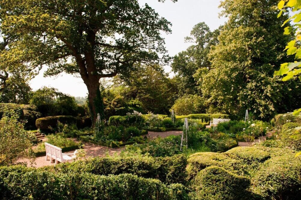 A beautiful garden with lush greenery, benches, and hedged pathways under the shade of large trees. - Home Instead