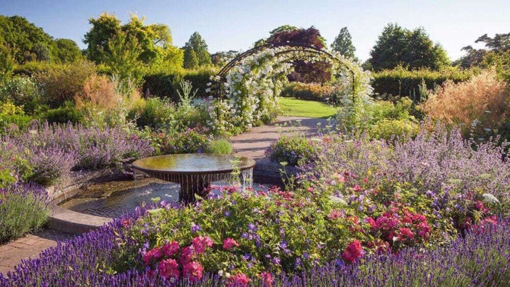 A vibrant garden with a central fountain, blooming flowers, and an archway covered in white flowers leading to a path. - Home Instead