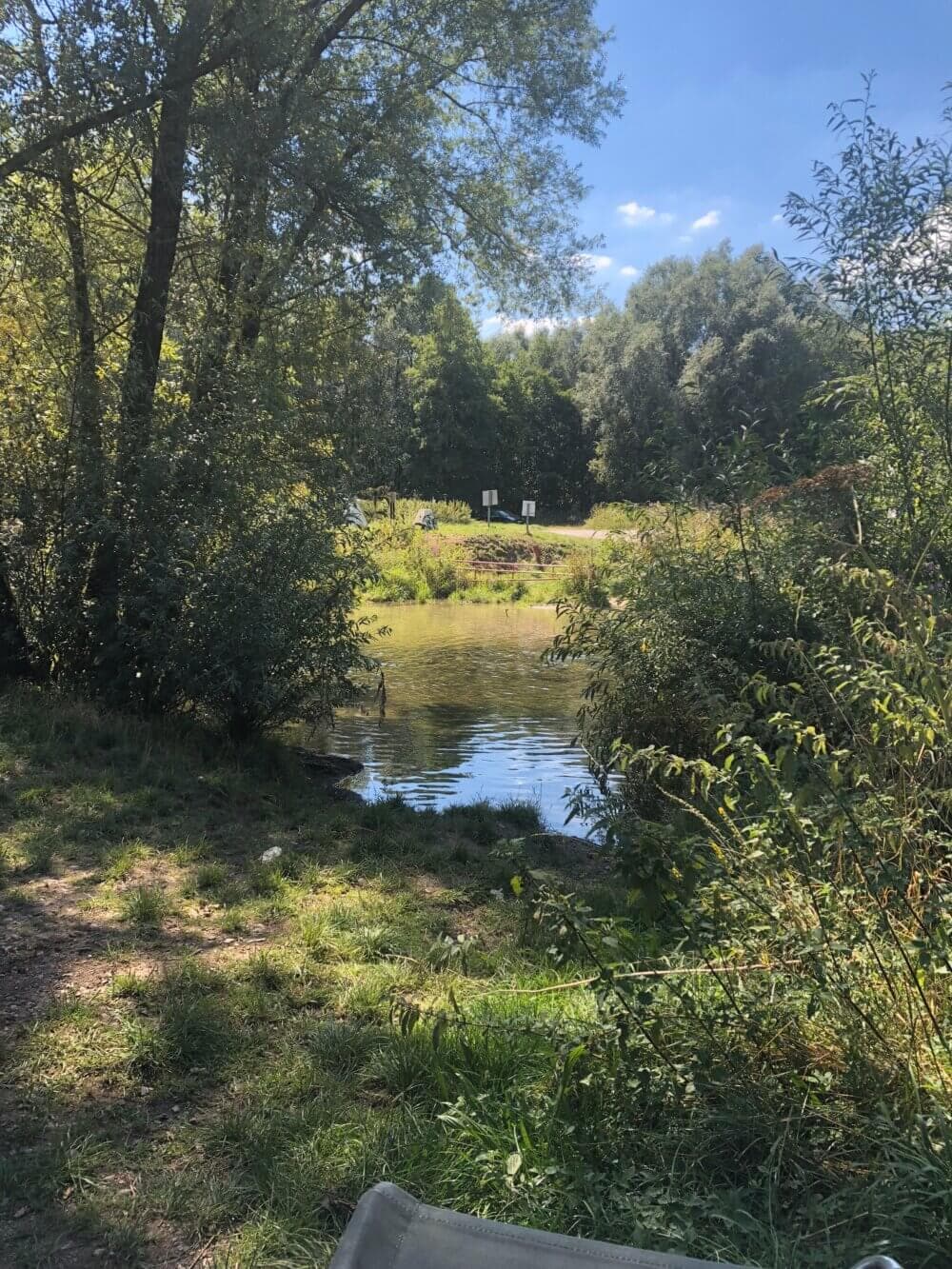 A serene pond surrounded by lush greenery and trees under a clear blue sky, with a grassy area in the foreground. - Home Instead