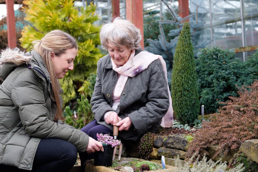 Two women gardening together in a greenhouse, one planting flowers and the other holding a pot. - Home Instead