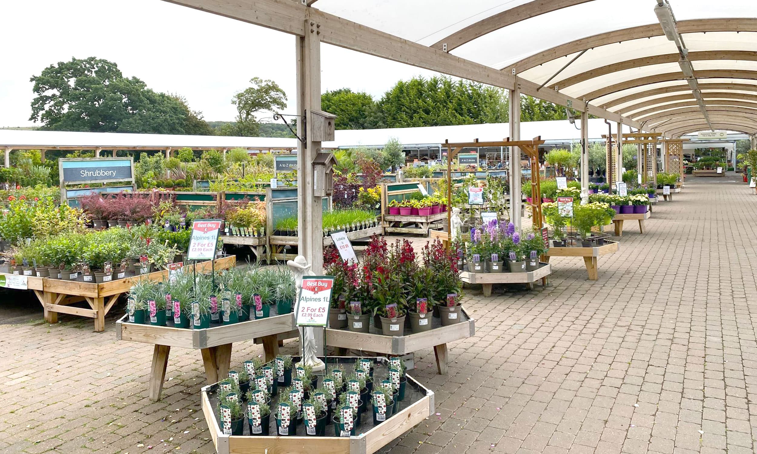 Plant nursery with varied potted plants on display under a large canopy, with price tags visible on each plant. - Home Instead