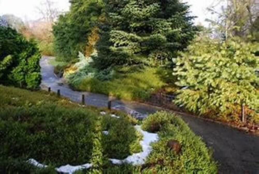 A winding path through a lush green garden with trees and bushes, lightly dusted with patches of snow. - Home Instead