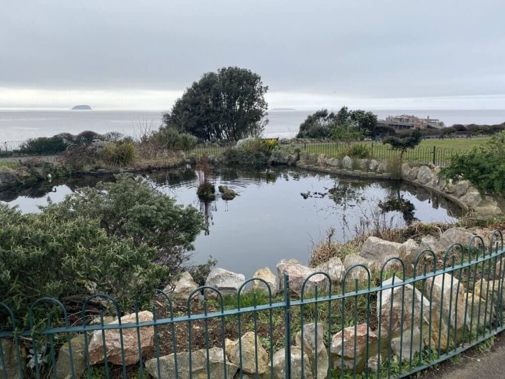Small pond surrounded by rocks and plants with an ocean view in the background on a cloudy day. - Home Instead