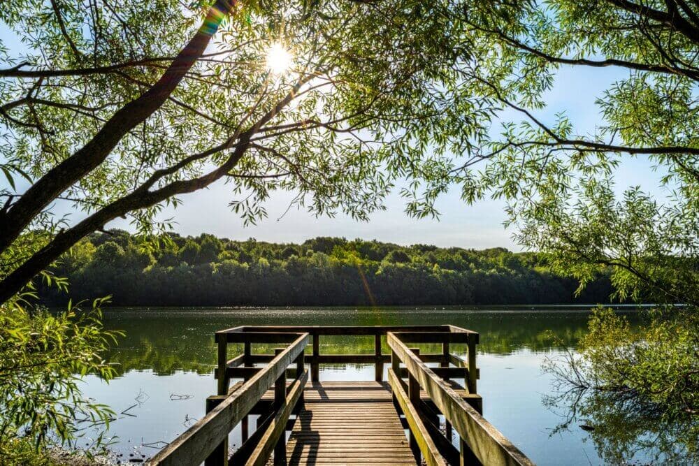 Wooden dock extending into a serene lake surrounded by lush greenery under a bright sunlit sky, framed by tree branches. - Home Instead