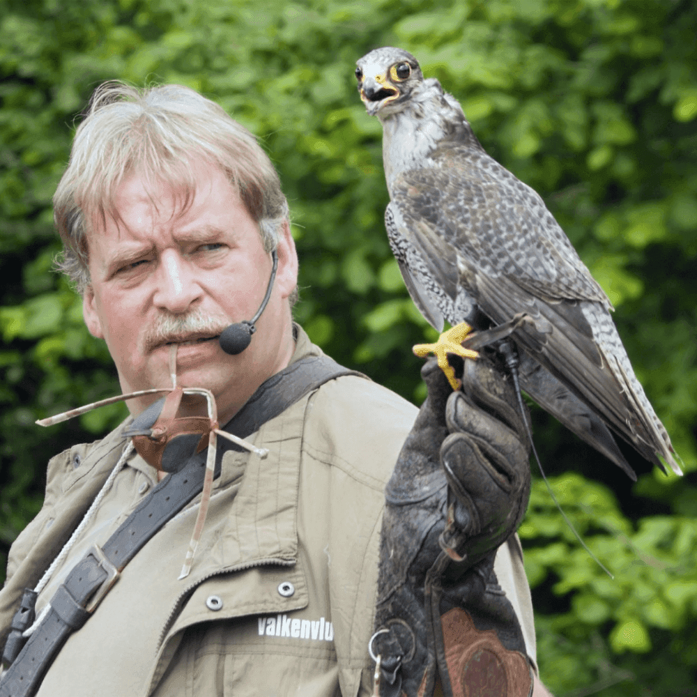 A falconer with a microphone headpiece holds a falcon on a gloved hand, set against a background of green foliage. - Home Instead