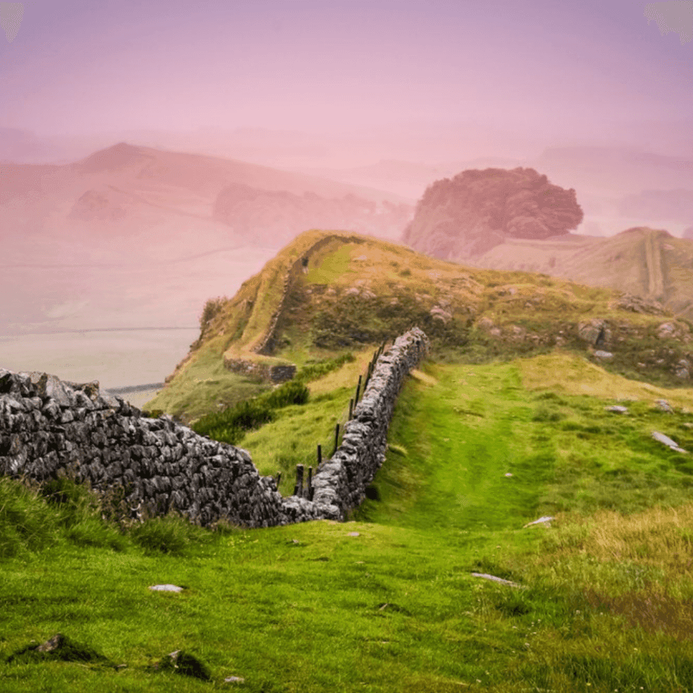 A stone wall winds through rolling green hills with foggy, pink-tinged skies in the background. - Home Instead