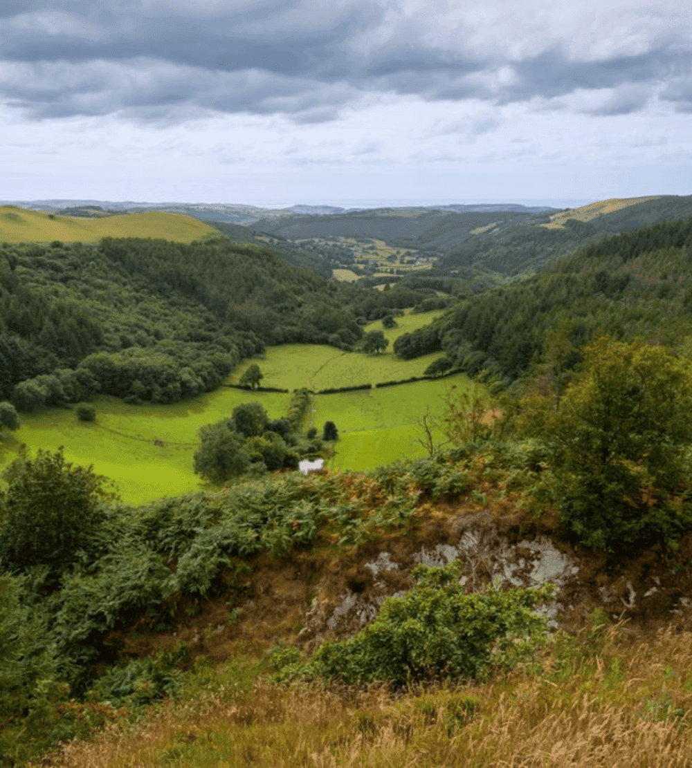 A lush green valley with rolling hills, dense trees, cloudy skies, and a small white building near the center. - Home Instead