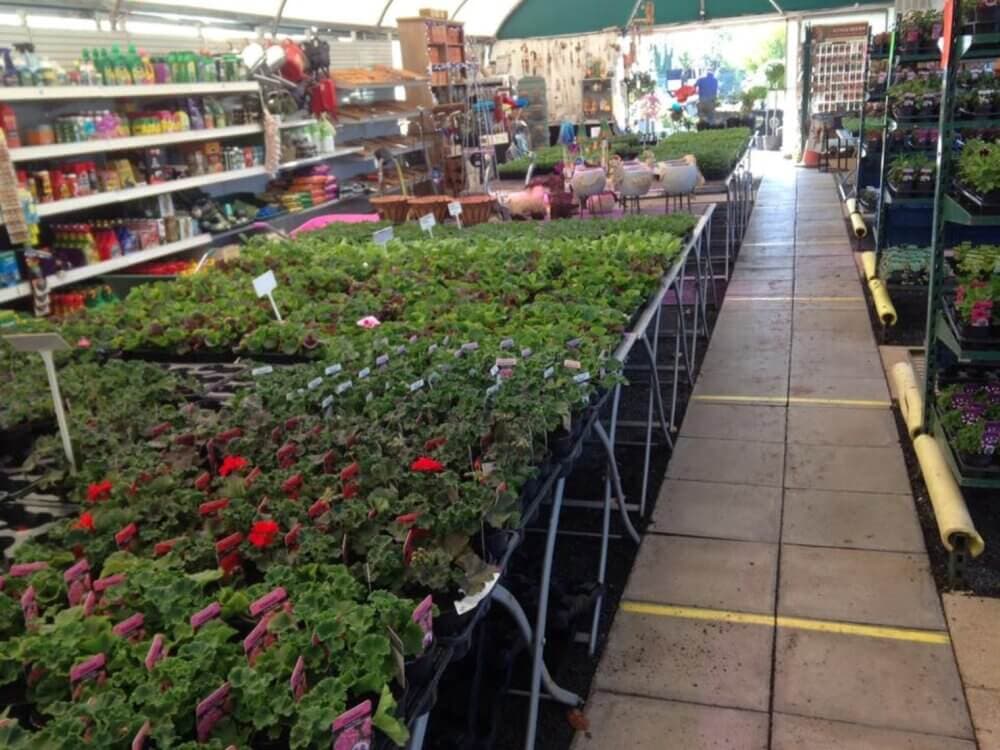 A garden center with tables of various potted plants, shelves of gardening supplies, and tools. - Home Instead