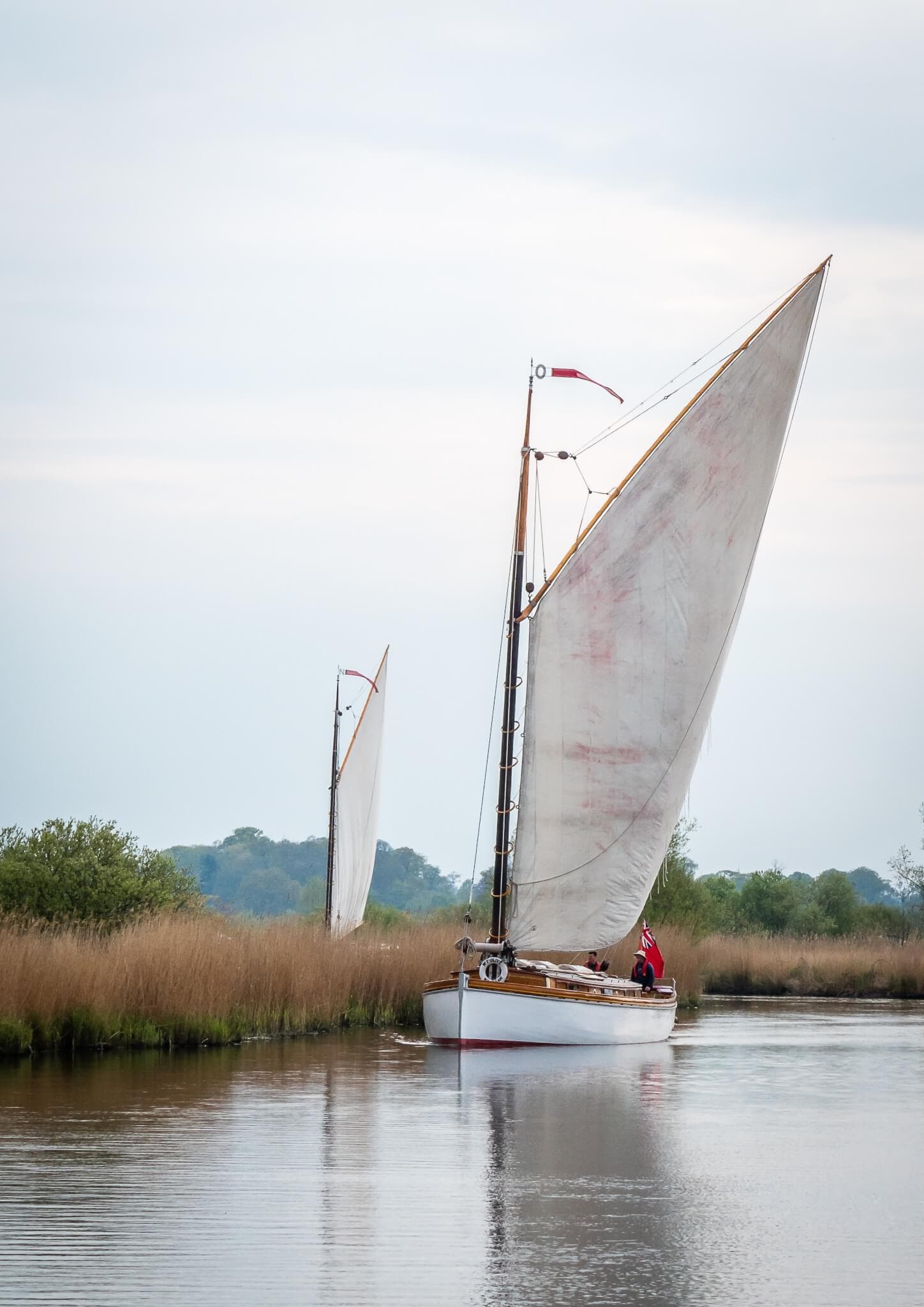 Two sailboats with large white sails navigating a calm, narrow river surrounded by tall grasses and trees. - Home Instead