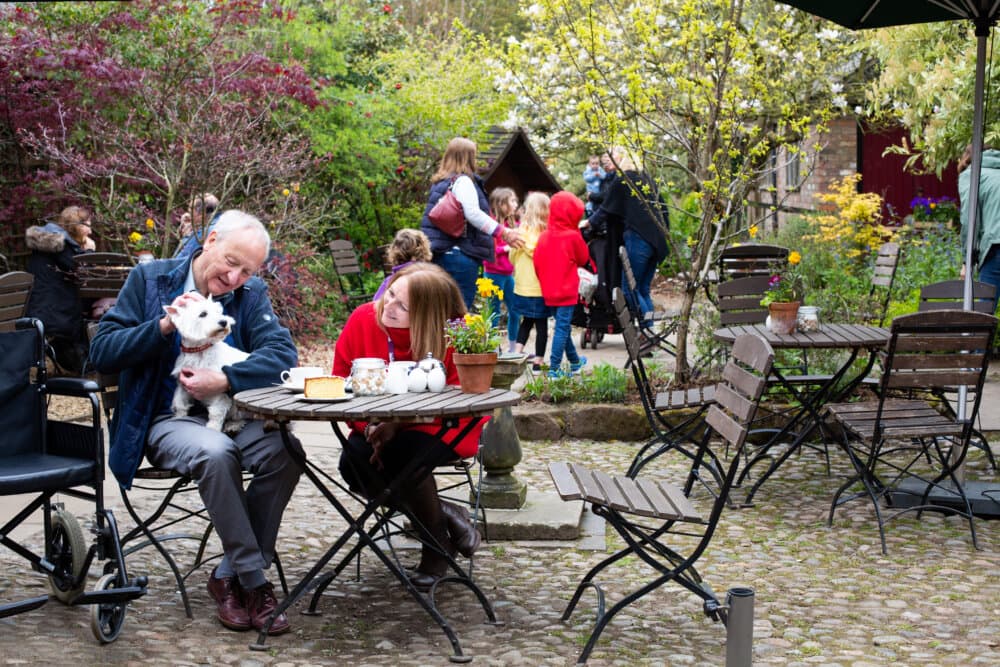 An elderly couple sits outdoors at a cafe with their dog, while people and children are in the background. - Home Instead