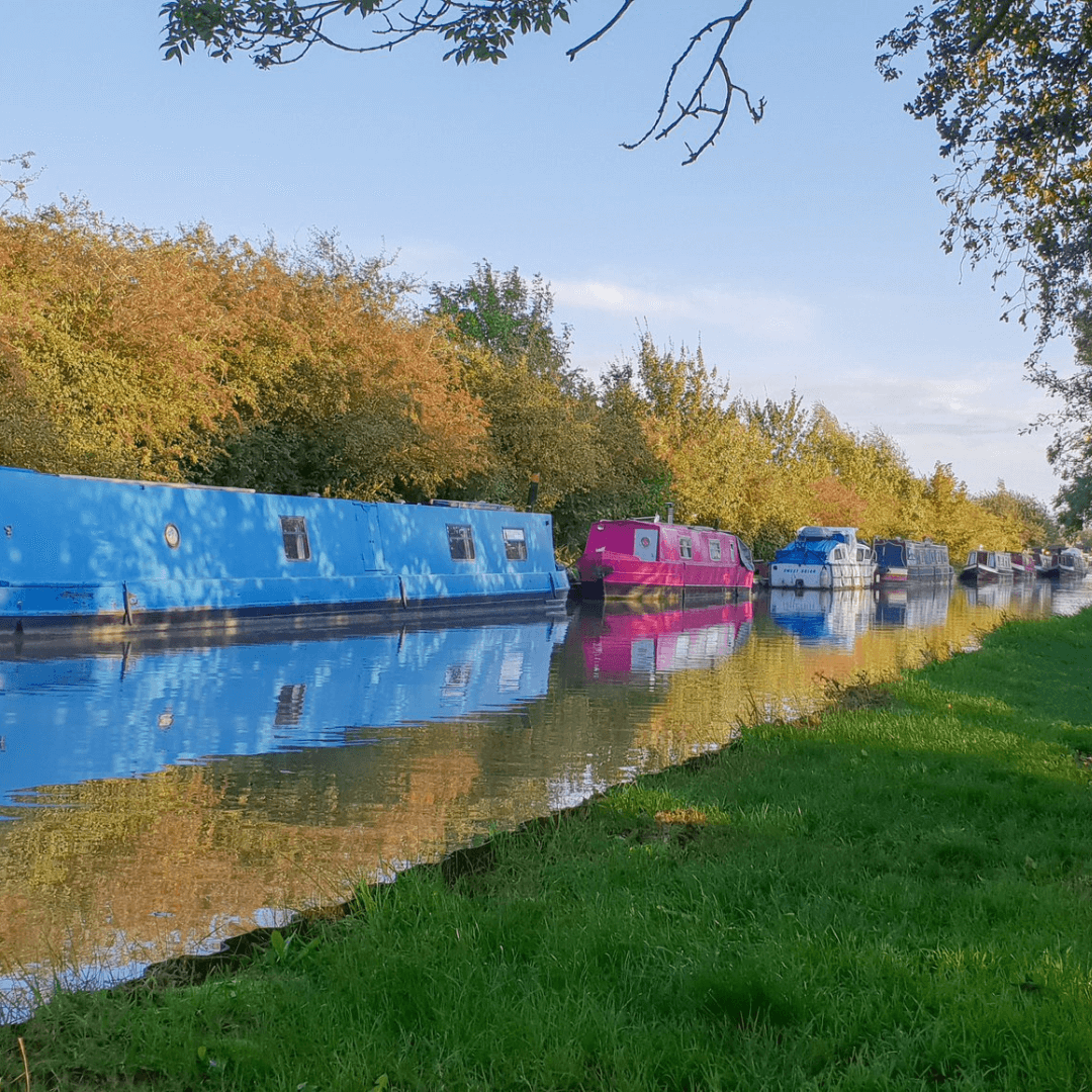 Colorful narrowboats moored along a serene canal lined with lush trees and green grass under a clear blue sky. - Home Instead