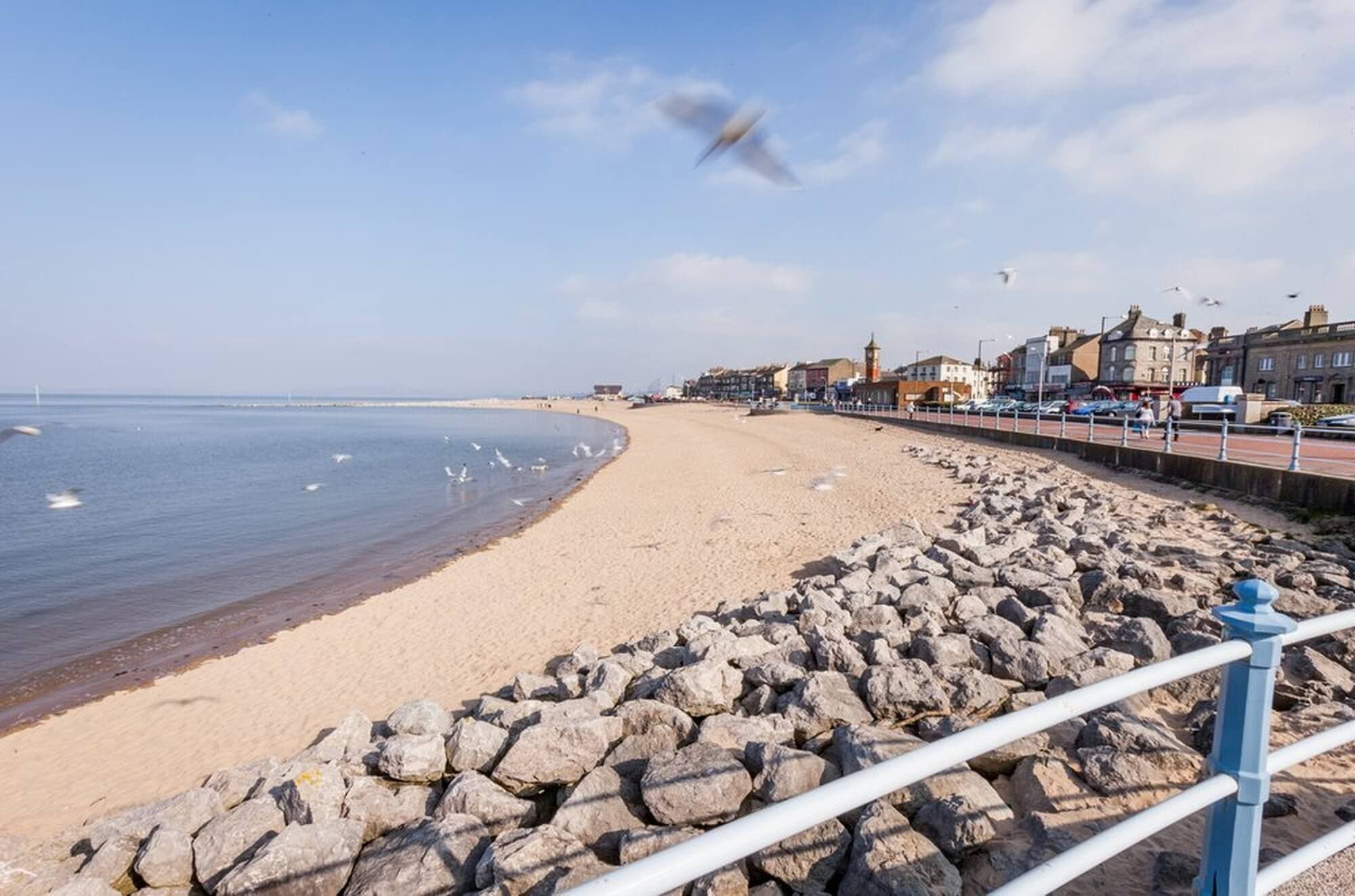 A sandy beach with seagulls flying, bordered by a rocky shoreline and a row of buildings under a clear blue sky. - Home Instead