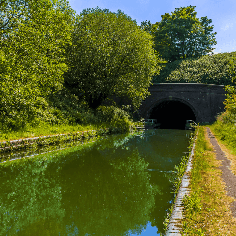 A calm canal with lush green trees and a paved path leads into a dark tunnel under a bright blue sky. - Home Instead
