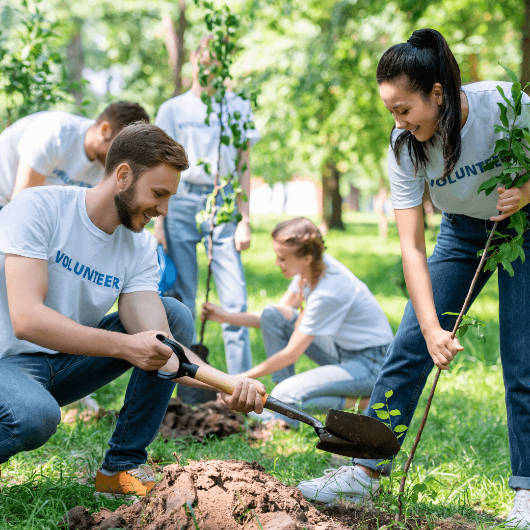 Group of volunteers planting trees in a park, smiling and working together under the sunlight. - Home Instead