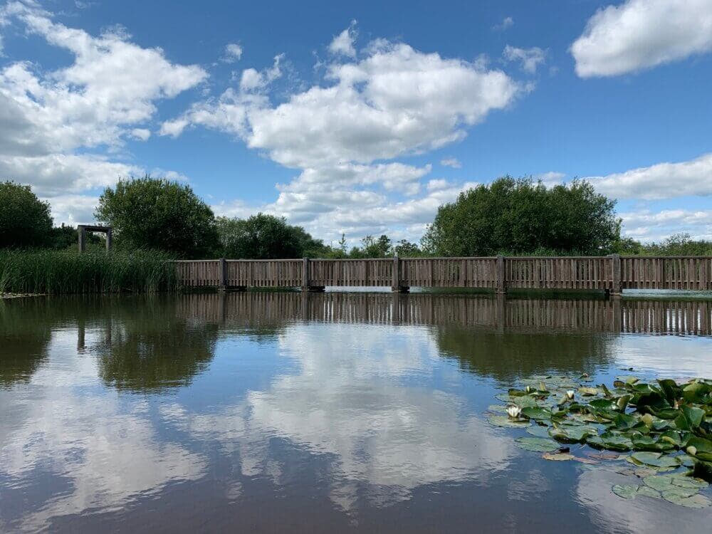 Wooden bridge over a calm water body with reflections of clouds and sky, surrounded by greenery and lily pads. - Home Instead