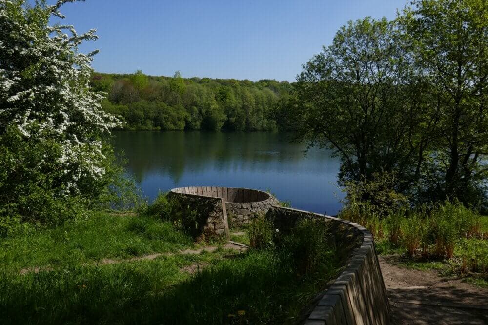 A serene lake surrounded by lush trees, with a curved wooden and stone bench in the foreground. - Home Instead