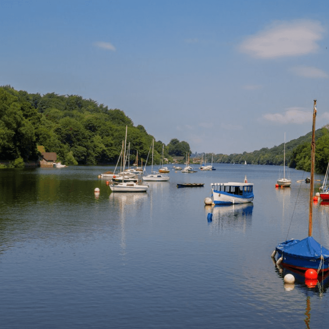 A serene river scene with several docked sailboats and motorboats, surrounded by lush green trees under a clear blue sky. - Home Instead