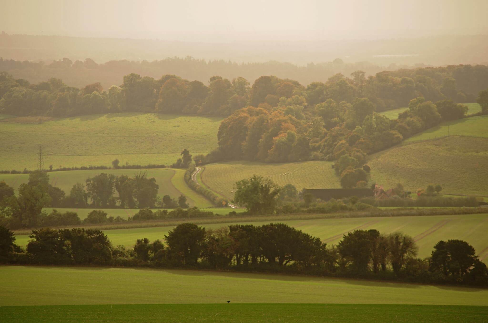 A hazy landscape with rolling green fields, winding roads, and trees in the distance under a light sky. - Home Instead