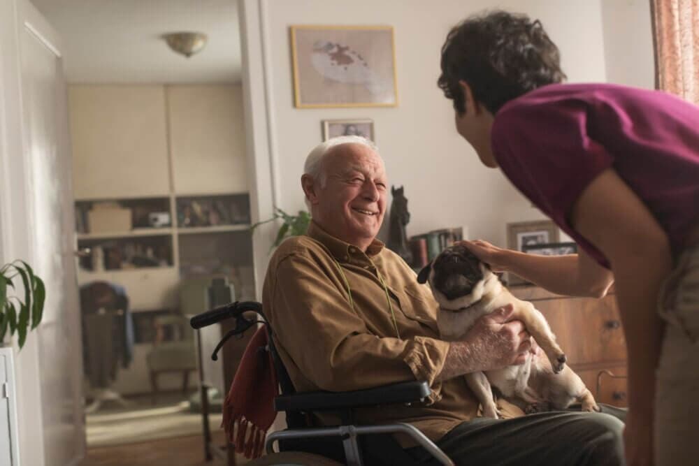 Elderly man in a wheelchair smiles while holding a pug, as a younger person pets the dog in a cosy living room. - Home Instead Poole