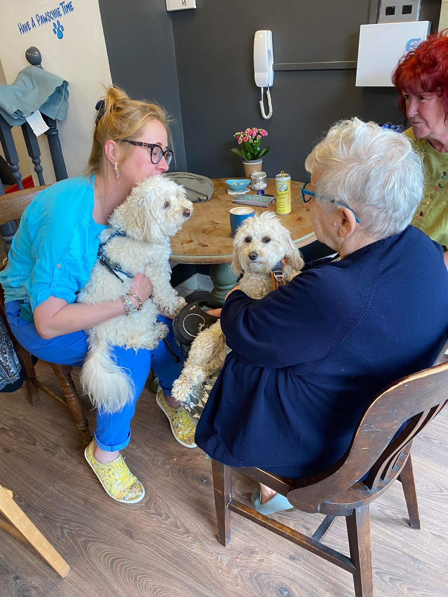 Three women are sitting around a table, each holding a small white dog on their laps, smiling and interacting. - Home Instead