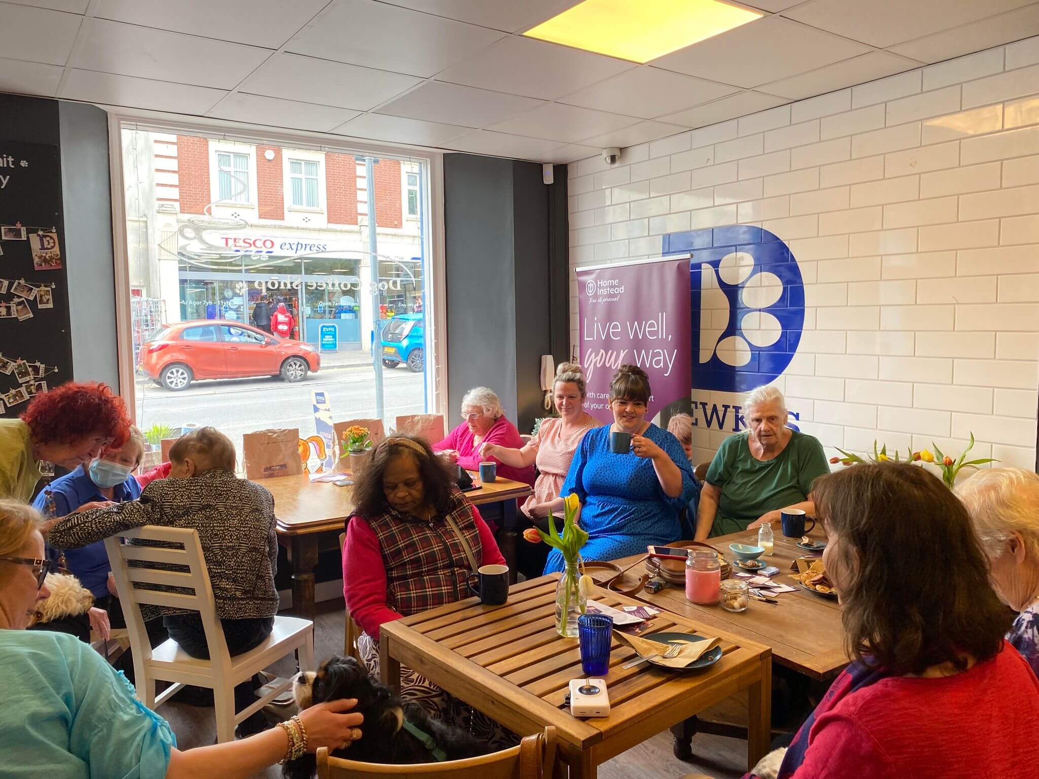 Dog Companionship café for seniors at Dewkes coffee shop in Sketty Swansea