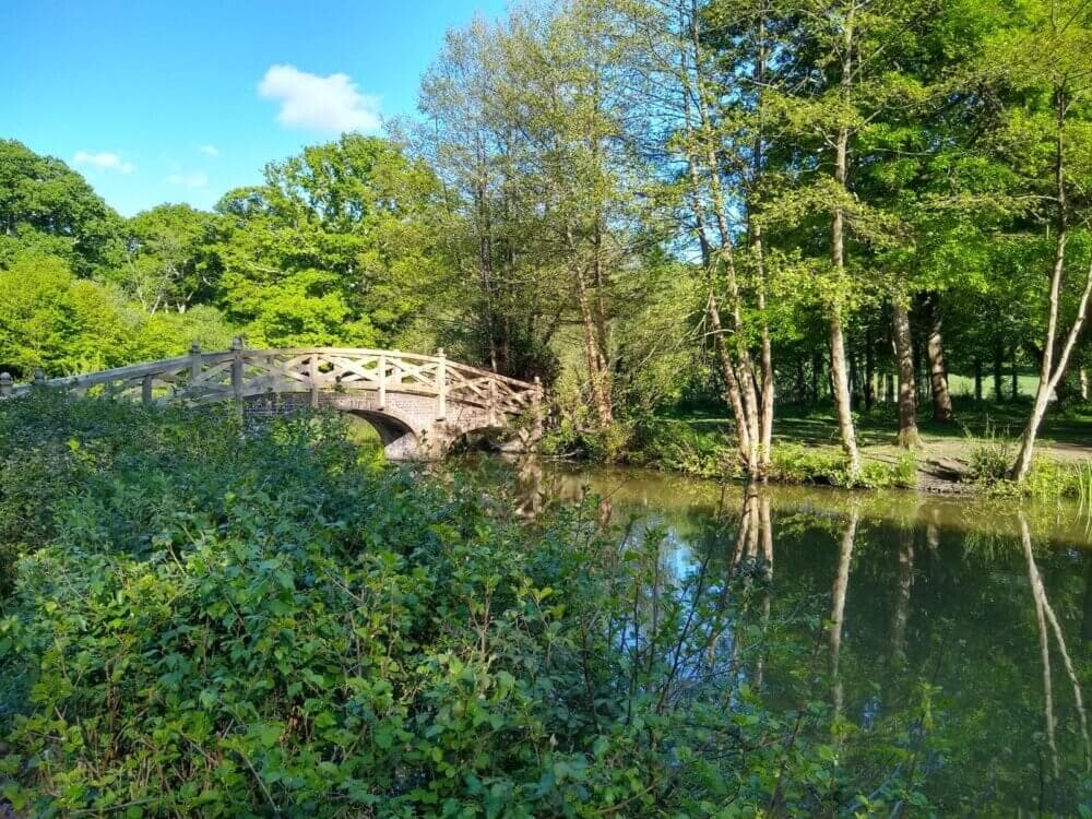 A wooden bridge over a calm river, surrounded by lush green trees and bushes on a sunny day. - Home Instead