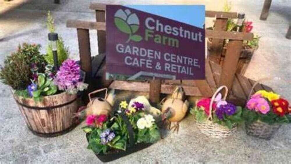 A sign for Chestnut Farm Garden Centre, Cafe & Retail surrounded by various colorful flower arrangements and plants. - Home Instead
