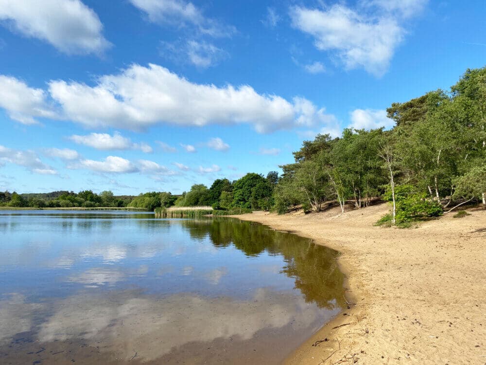 Tranquil lakeside with a sandy beach and lush green trees under a blue sky with scattered white clouds. - Home Instead