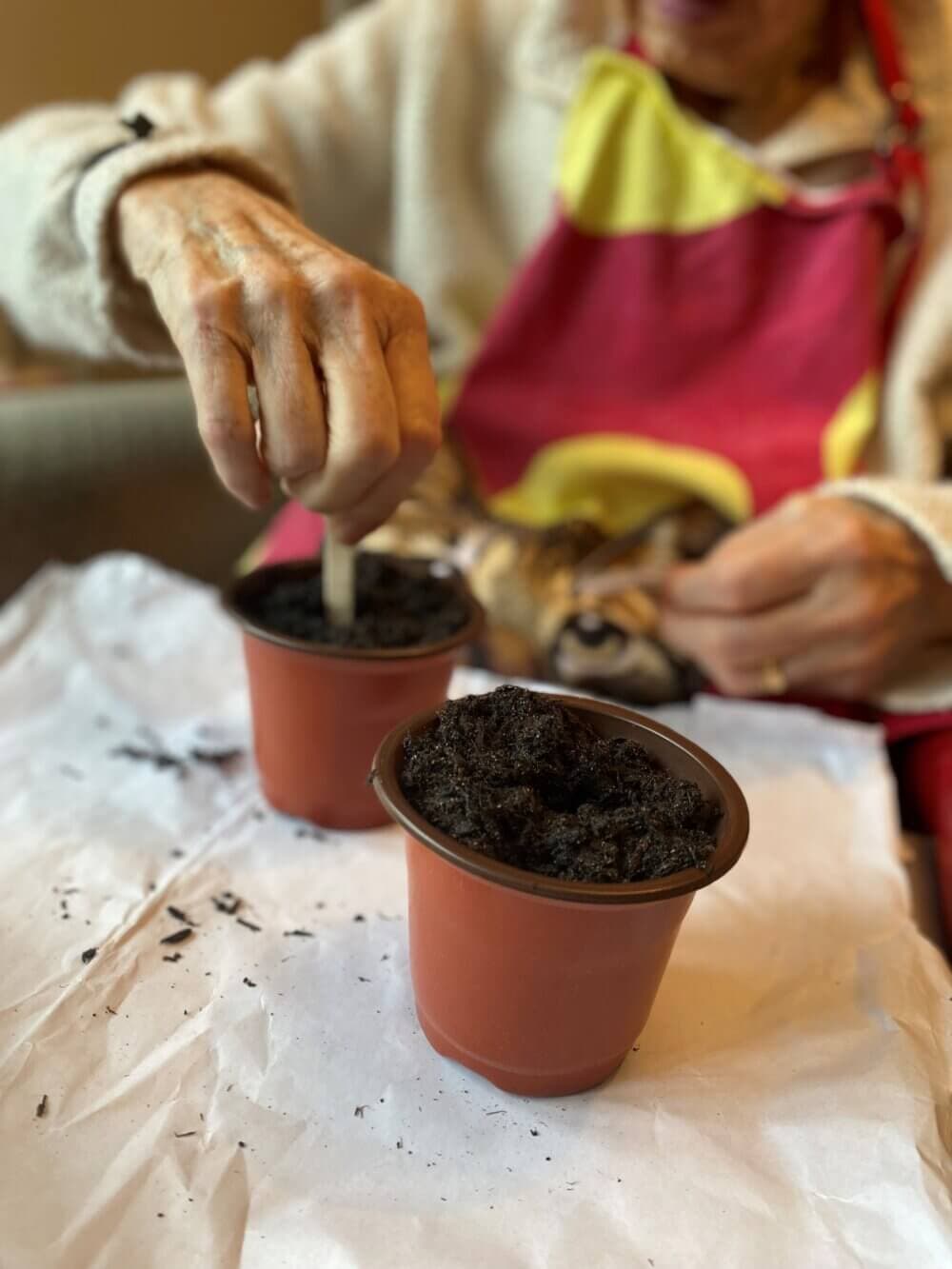 A person plants seeds in small pots filled with soil, wearing a colorful apron, with gardening tools on a paper-covered surface. - Home Instead