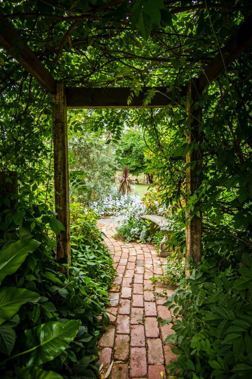 A brick pathway leads through a lush green garden under a wooden pergola covered in vines. - Home Instead