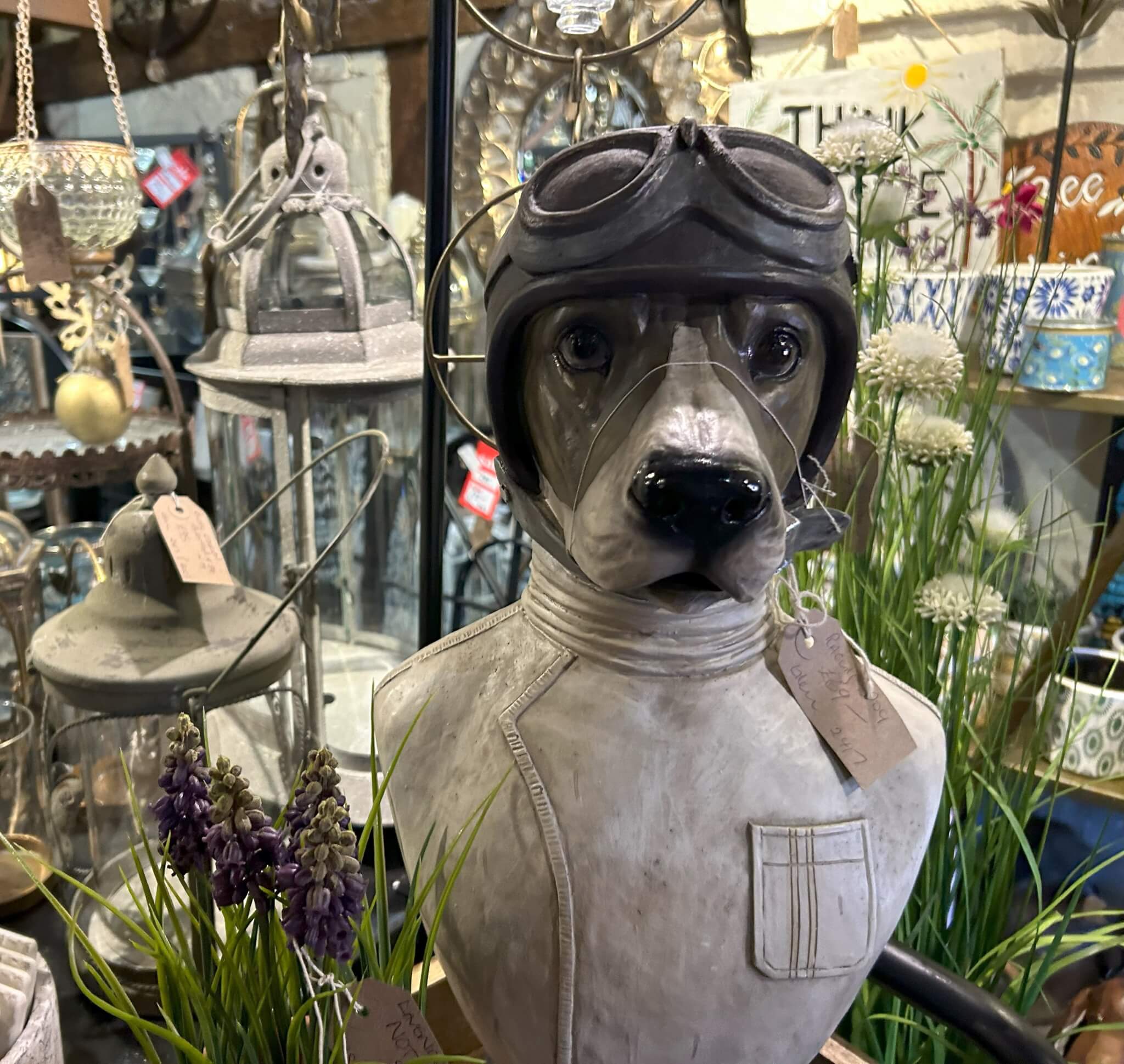 Home Instead Basingstoke picture of bust of a dog wearing aviator goggles and a helmet, surrounded by various decorative items and flowers at White Lion Antiques