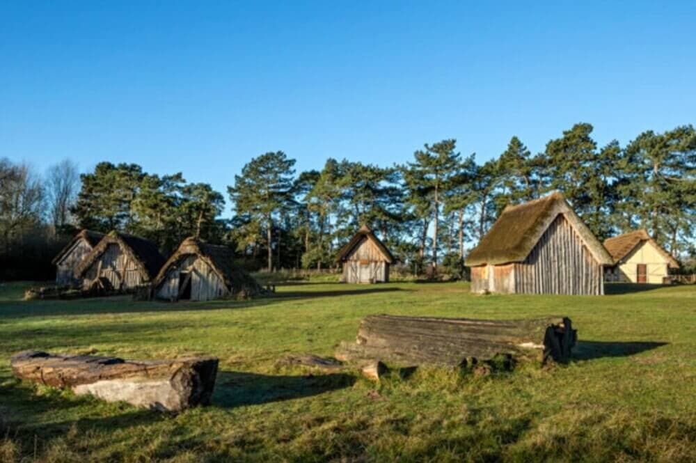 A sunny day with small, wooden, thatched-roof huts in a grassy field backed by tall trees. - Home Instead