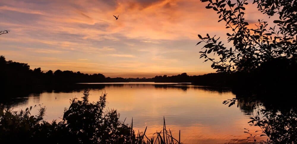 A serene lake at sunset with vibrant orange and pink skies, trees framing the view, and a bird flying overhead. - Home Instead