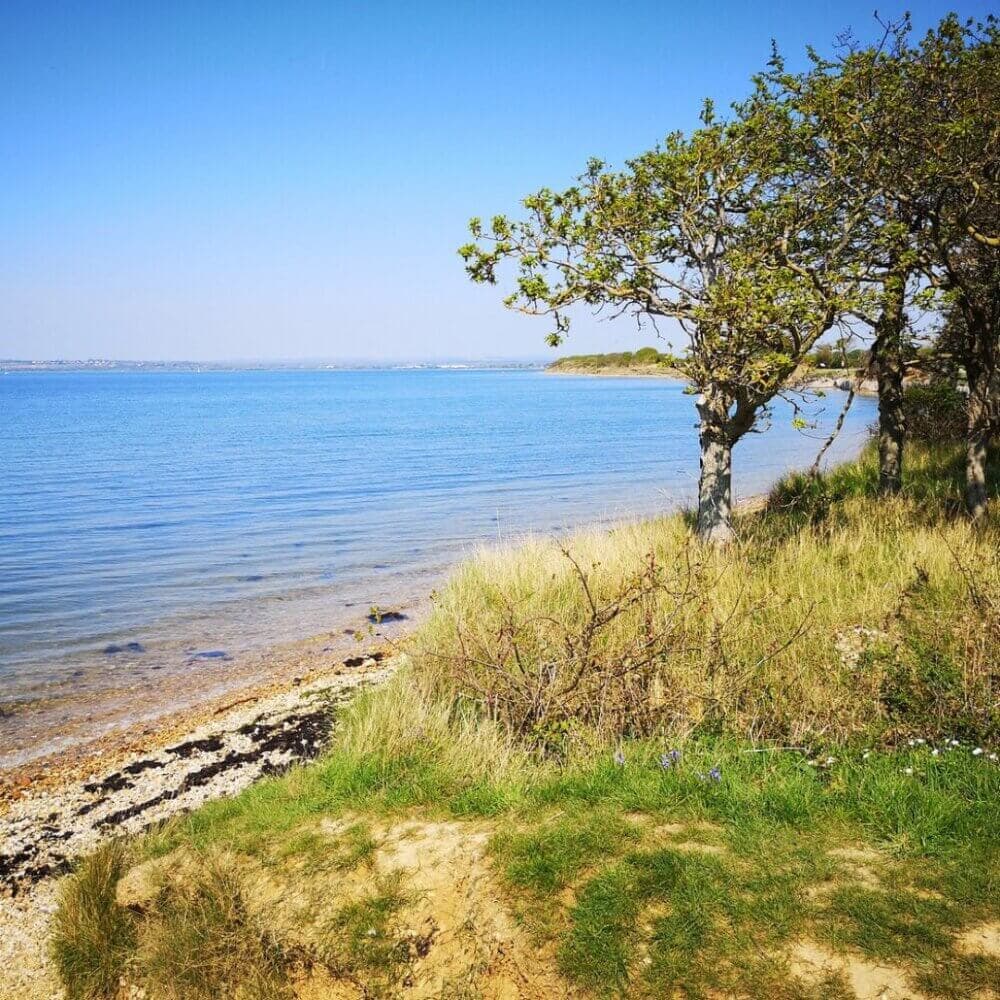 Serene coastal view with clear blue water, green grass, trees, and a sandy shoreline under a bright blue sky. - Home Instead
