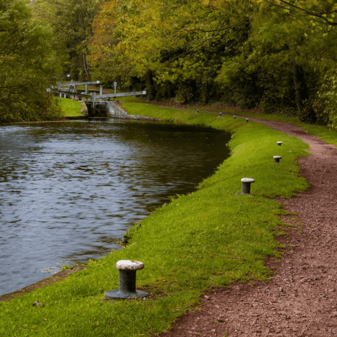 A peaceful canal path lined with green grass and trees, leading to a lock gate under a cloudy sky. - Home Instead