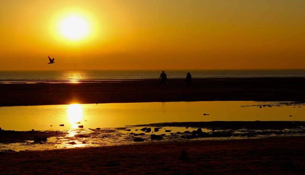 Silhouetted figures walk along a serene beach at sunset with a bird in flight over the glowing horizon. - Home Instead
