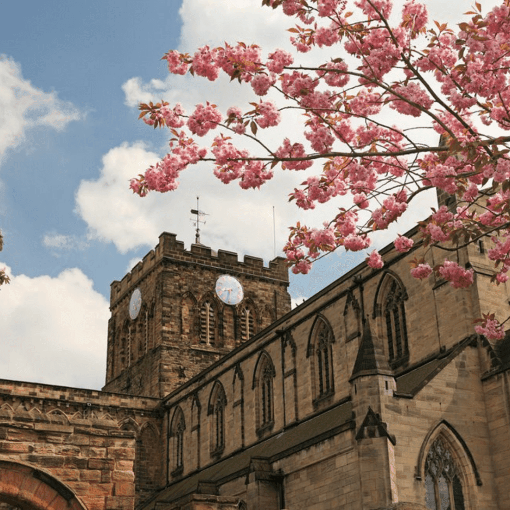 Historic church with a clock tower under a partly cloudy sky, framed by blooming pink cherry blossoms. - Home Instead