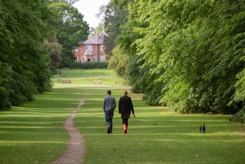 Two people walk along a grassy path flanked by trees, with a small dog and a house in the distance. - Home Instead