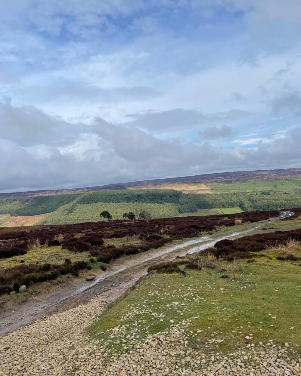 A rural landscape featuring a grassy path winding through rolling hills under a partly cloudy sky. - Home Instead