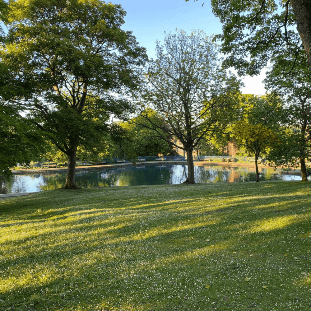 A tranquil park scene with grassy area, trees, and a calm pond under a clear sky. - Home Instead
