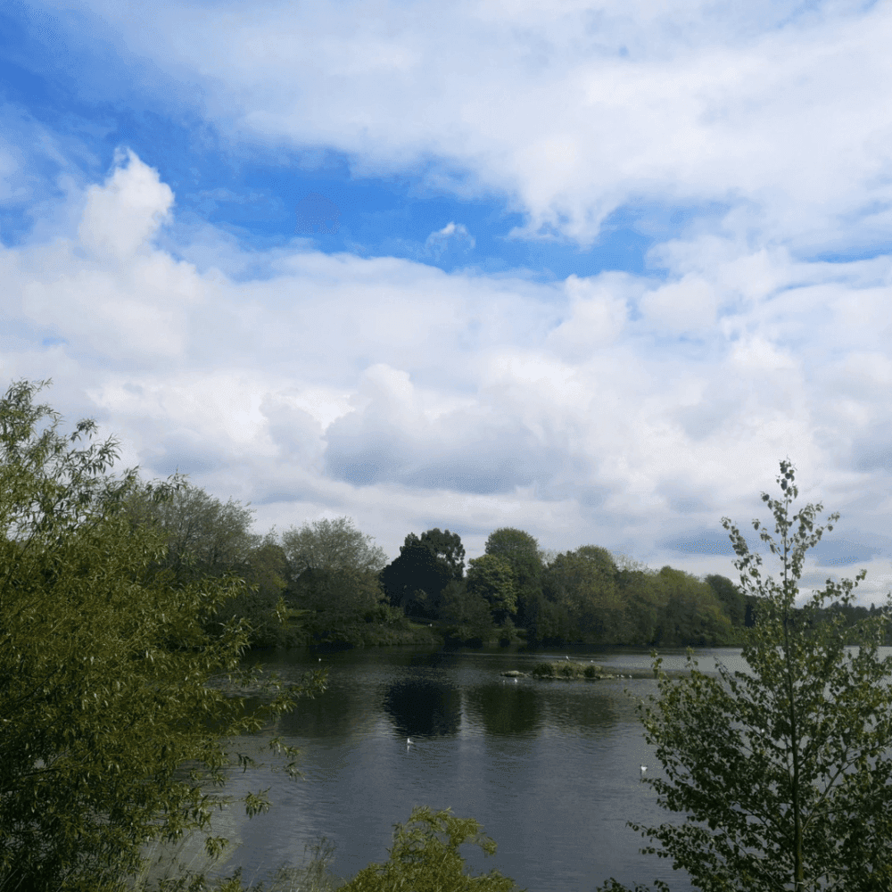 A serene lake surrounded by trees under a partly cloudy blue sky, with greenery in the foreground. - Home Instead