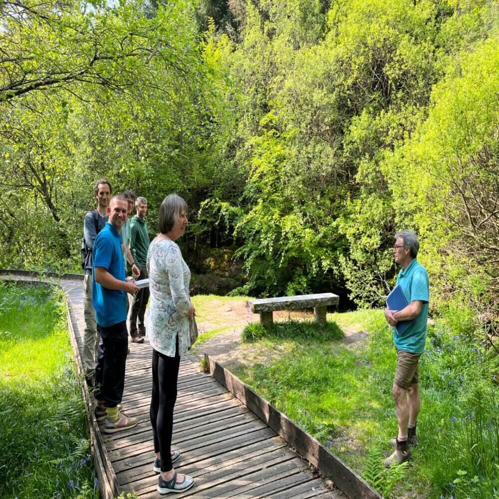 A group of people stands on a wooden path in a lush forest area, conversing with a person holding a folder. - Home Instead