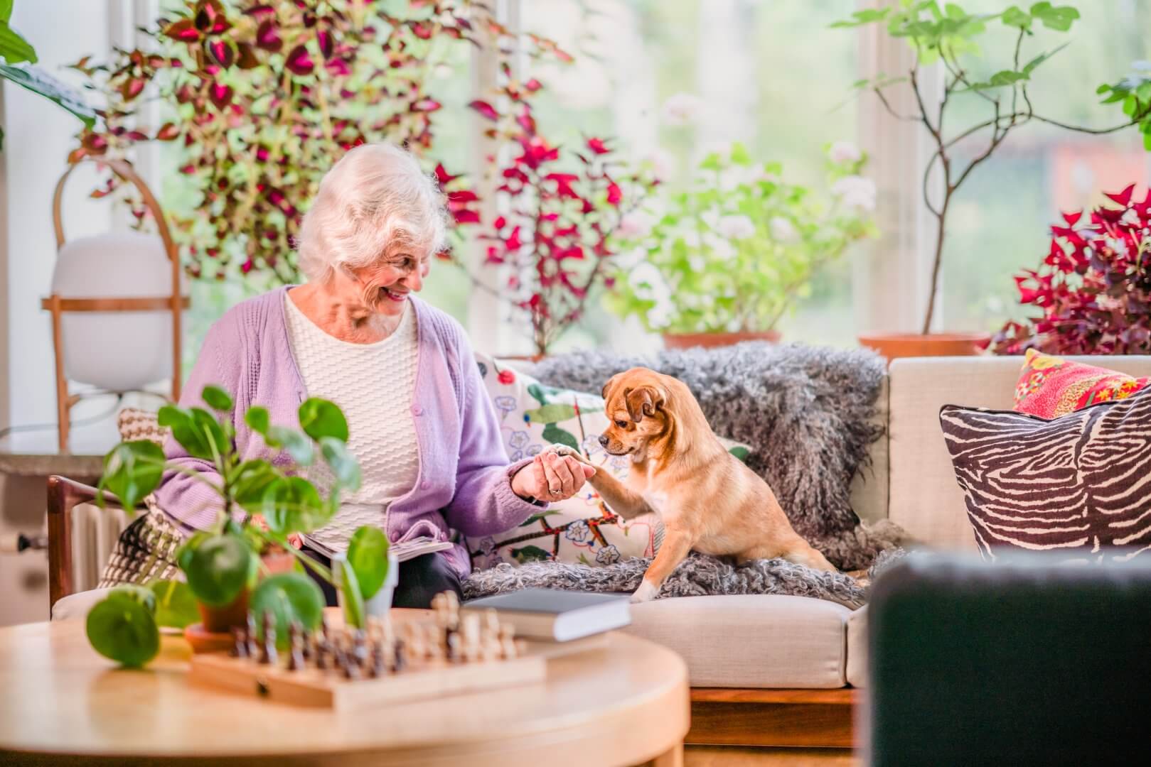An elderly woman in a cozy living room smiles while holding a small dog’s paw. There are plants and a chessboard nearby. - Home Instead