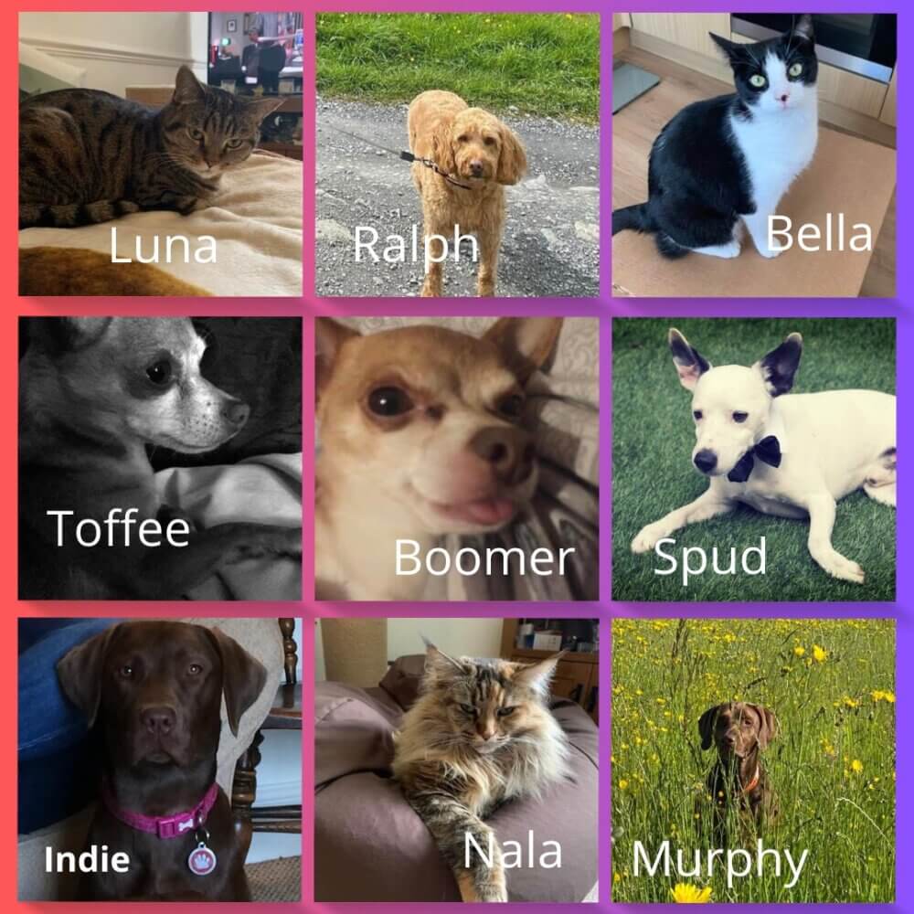 A collage of nine pet photos with names: Luna, Ralph, Bella, Toffee, Boomer, Spud, Indie, Nala, and Murphy. - Home Instead