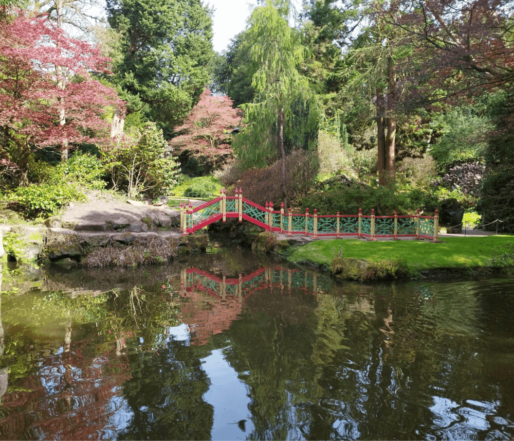 Small red and green bridge over a calm pond in a vibrant garden with lush, colorful trees and greenery. - Home Instead