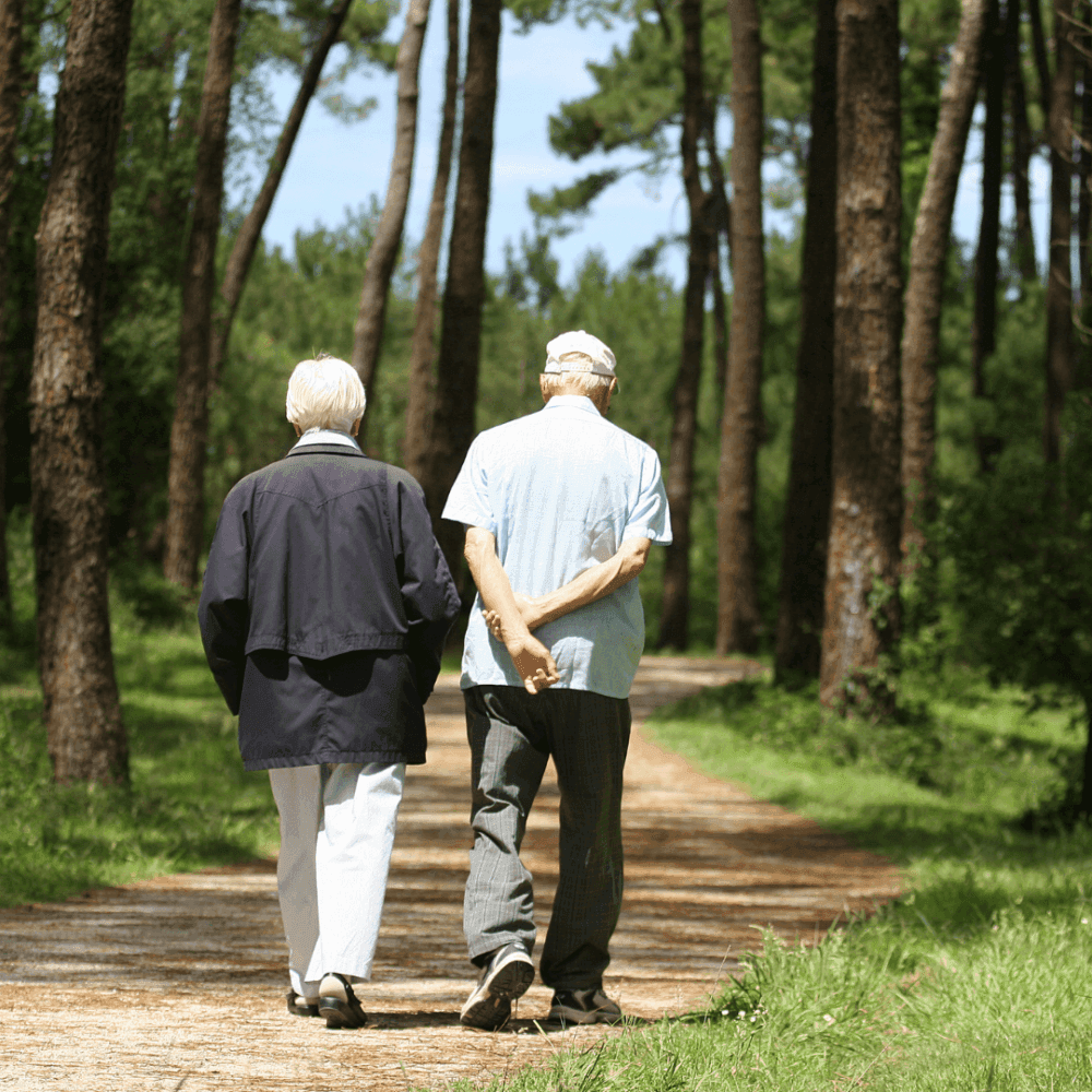Two elderly people, seen from behind, walking on a path through a forest with tall trees on a sunny day. - Home Instead